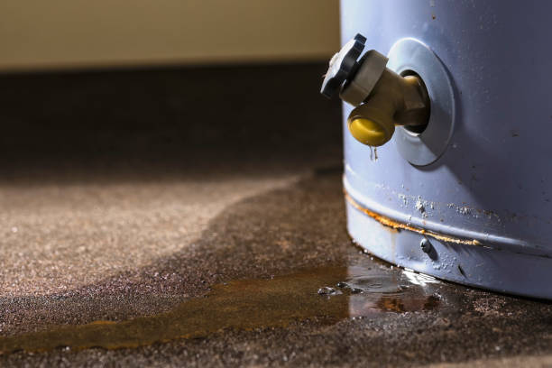 Best Water damage contractors near me  in Overton, TX