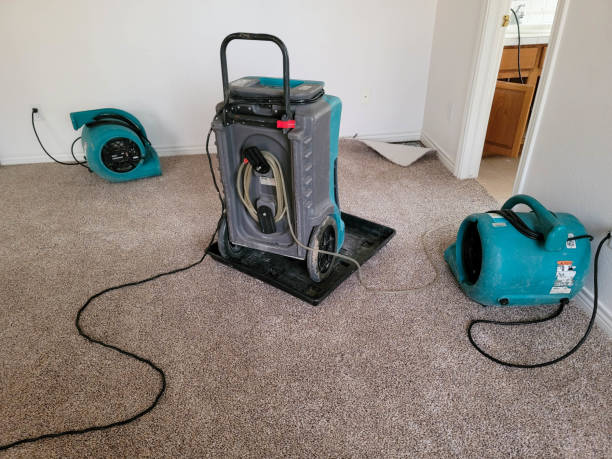 Best Basement water damage restoration  in Overton, TX