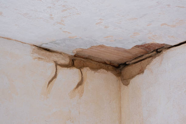 Best Flood restoration services  in Overton, TX