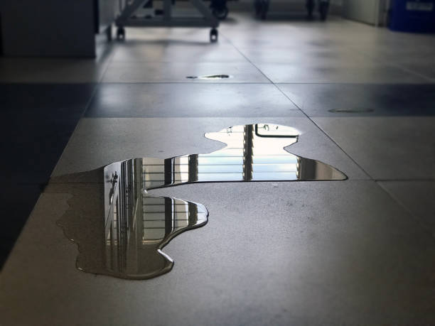 Best Commercial water damage restoration  in Overton, TX