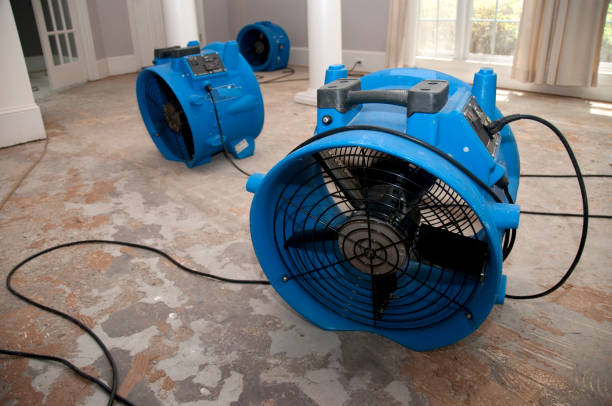 Best Local water damage restoration  in Overton, TX