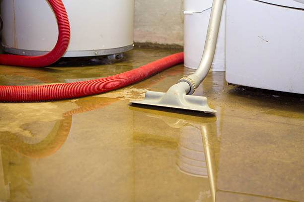 Best Water damage restoration specialists  in Overton, TX