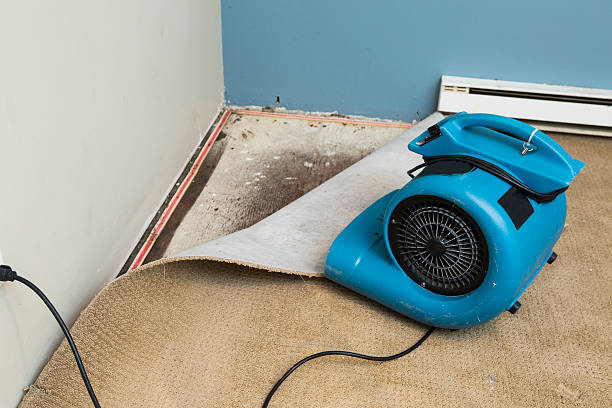 Best Professional water damage repair  in Overton, TX